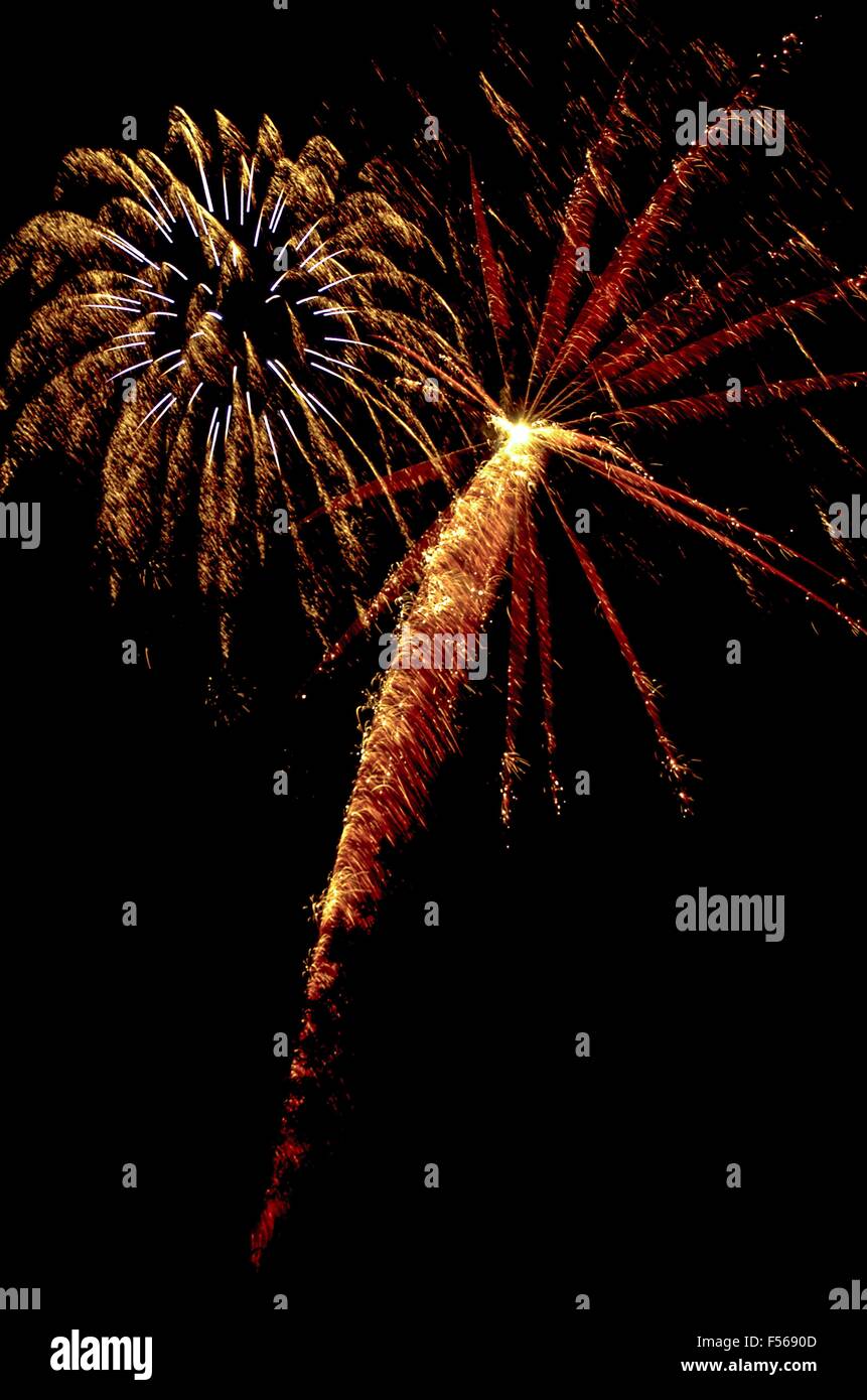 Fuochi d'artificio per festeggiare! Foto Stock