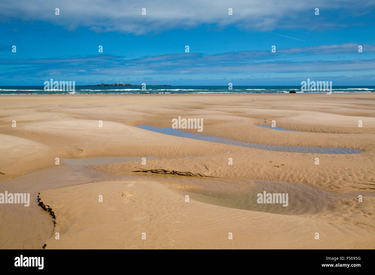 Farne isole; da Seahouses Beach; Northumberland, Regno Unito Foto Stock