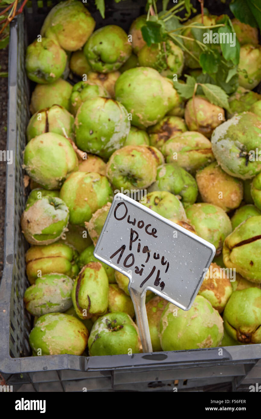 Frutti di mela cotogna in vendita sul mercato polacco Foto Stock