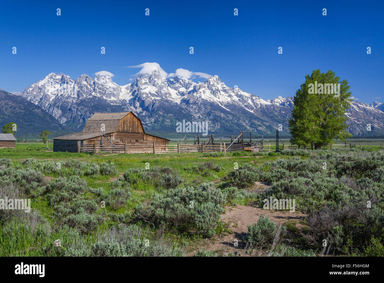 Un granaio di Mormon riga del Grand Teton National Park, Wyoming negli Stati Uniti. Foto Stock