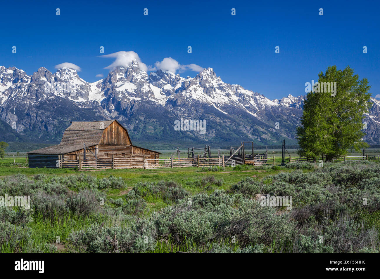 Un granaio di Mormon riga del Grand Teton National Park, Wyoming negli Stati Uniti. Foto Stock