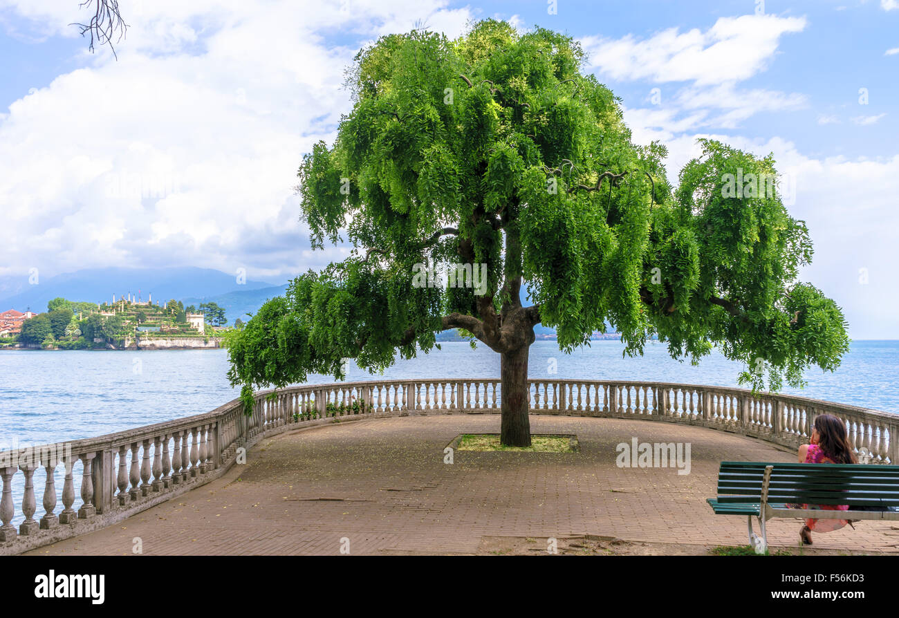 Una donna guarda passato un bellissimo albero a Isola Bella sul Lago Maggiore. La Lombardia e il Piemonte, Italia. Foto Stock