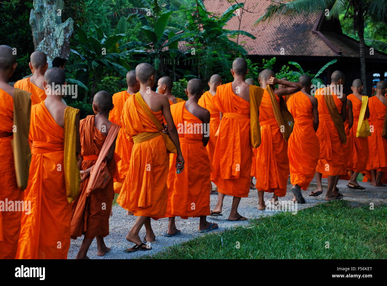 La linea dei monaci buddisti a piedi passato Angkor Wat complesso. Angkor Wat è stato per la prima volta un Indù, successivamente, un tempio buddista complesso. Foto Stock