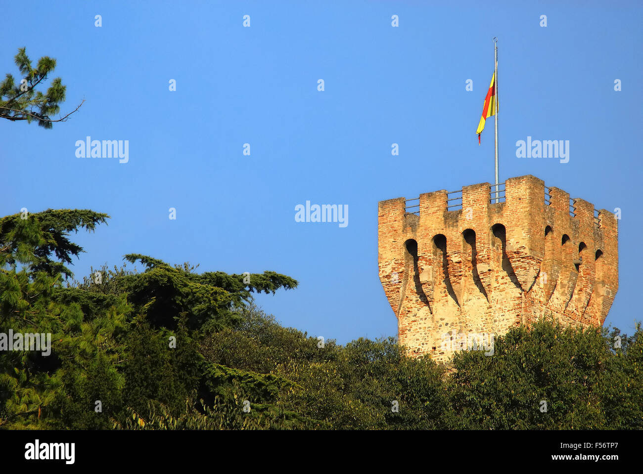 Este è una città e comune della provincia di Padova, in Veneto, la regione del nord Italia. Le mura del castello carrarese, costruita intorno al 1339 sulle ceneri del castello estense. Le pareti formano un poligono circondato da torri a intervalli regolari. Oggi all'interno del castello è utilizzato come un giardino. Foto Stock