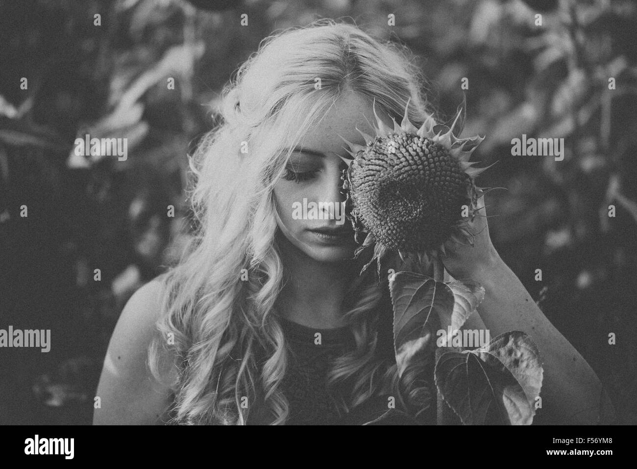 Bella giovane donna in un campo di girasoli a ora d'oro Foto Stock