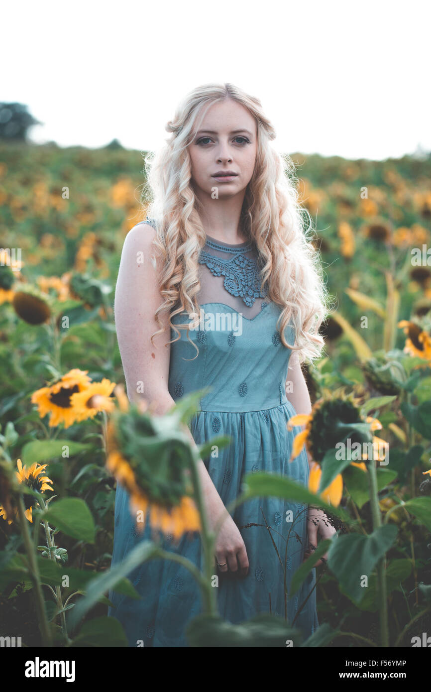Bella giovane donna in un campo di girasoli a ora d'oro Foto Stock