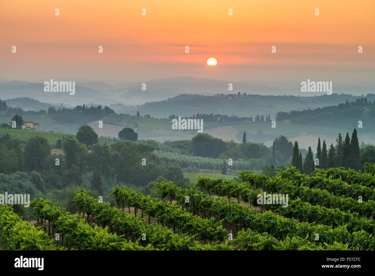 Paesaggio nel sunrise vicino a San Gimignano, Toscana, Italia, Europa. Foto Stock