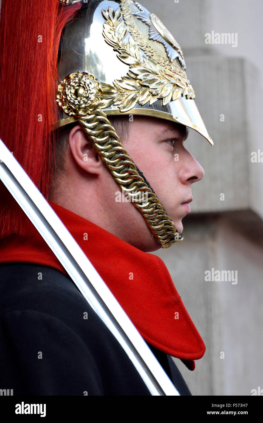 Londra, Inghilterra, Regno Unito. Membro della cavalleria della famiglia (Blues e Royals) di sentinella (a cavallo) a Horseguards Parade Foto Stock