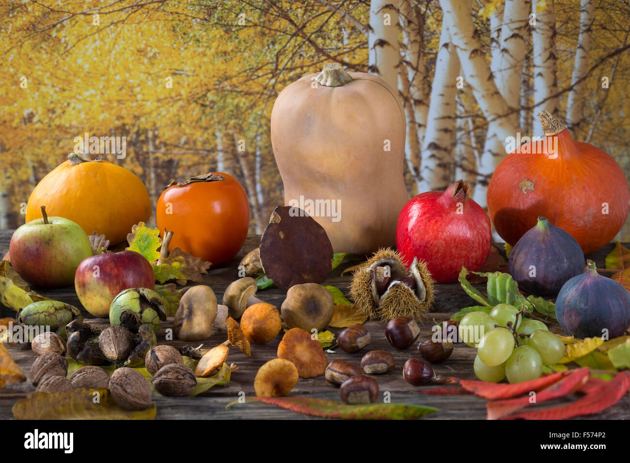 La natura in autunno concetto. Foto Stock