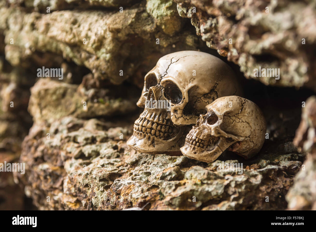 Cranio o scheletro di fotografia umana Foto Stock