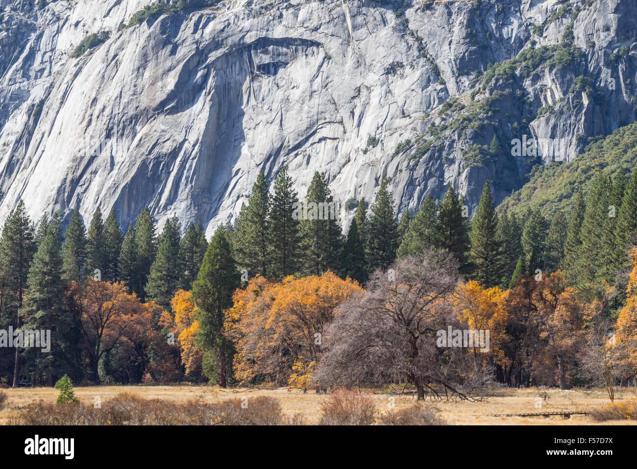 L'autunno. Autunno a colori nel Parco Nazionale di Yosemite. Foto Stock