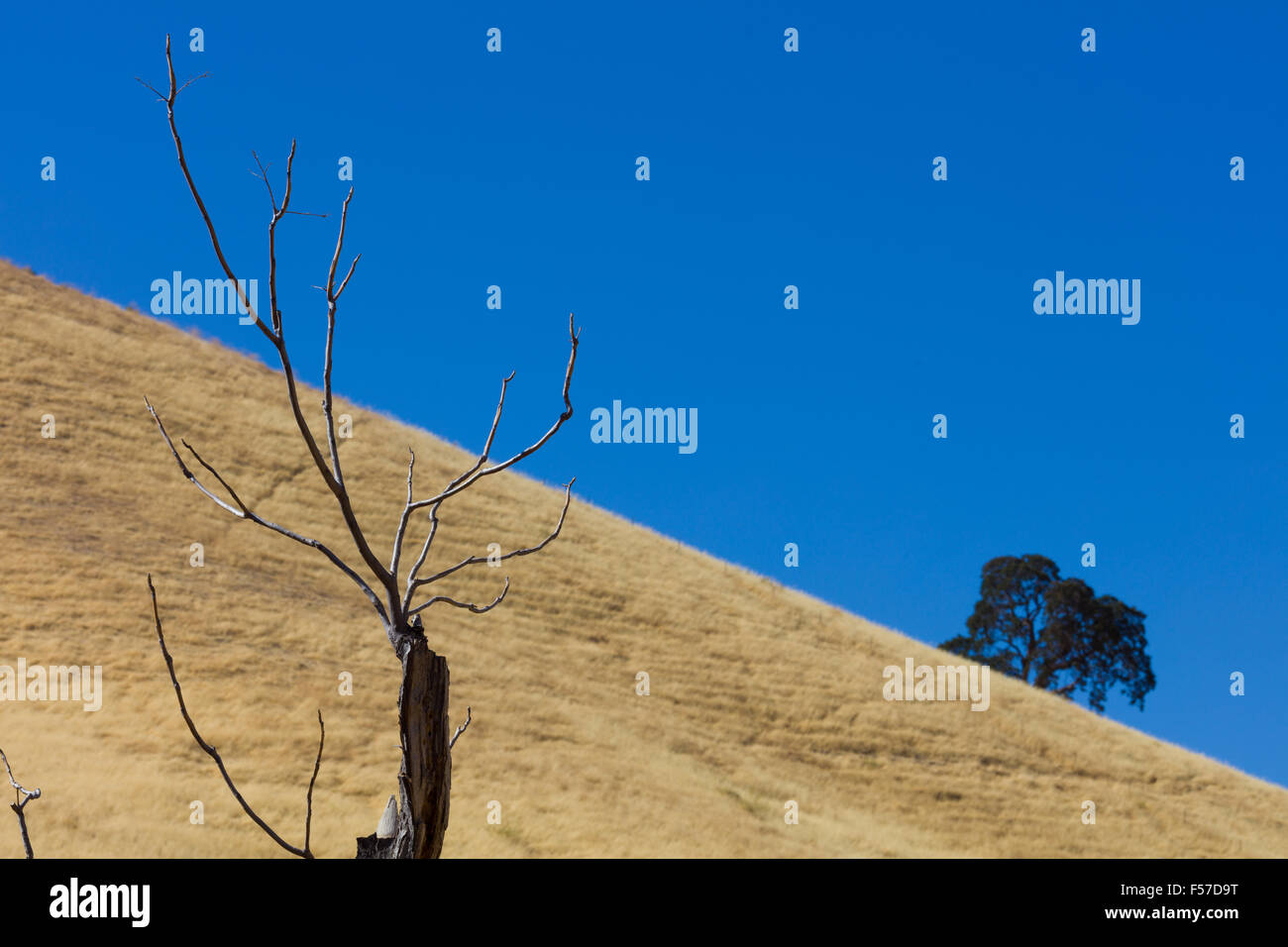 Black Diamond Mine preservare regionale. Foto Stock