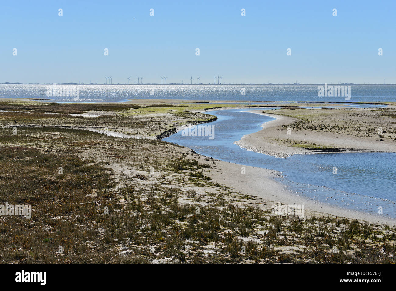 Canale stretto in terreni alluvionali, Wangerooge, Friesland, Bassa Sassonia, Germania Foto Stock