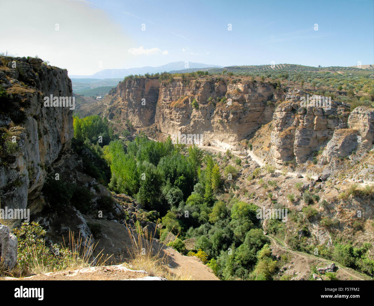 Canyon di Alhama de Granada, Spagna meridionale Foto Stock