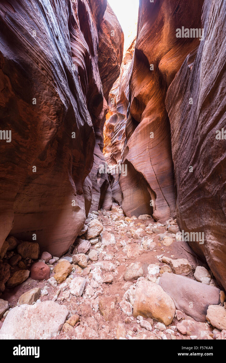 Alti slot di arenaria canyon al Gulch Daino nel sud dello Utah. Foto Stock