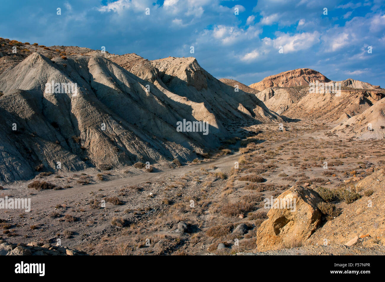 Macchia naturale deserto Tabernas, provincia di Almeria, regione dell'Andalusia, Spagna, Europa Foto Stock