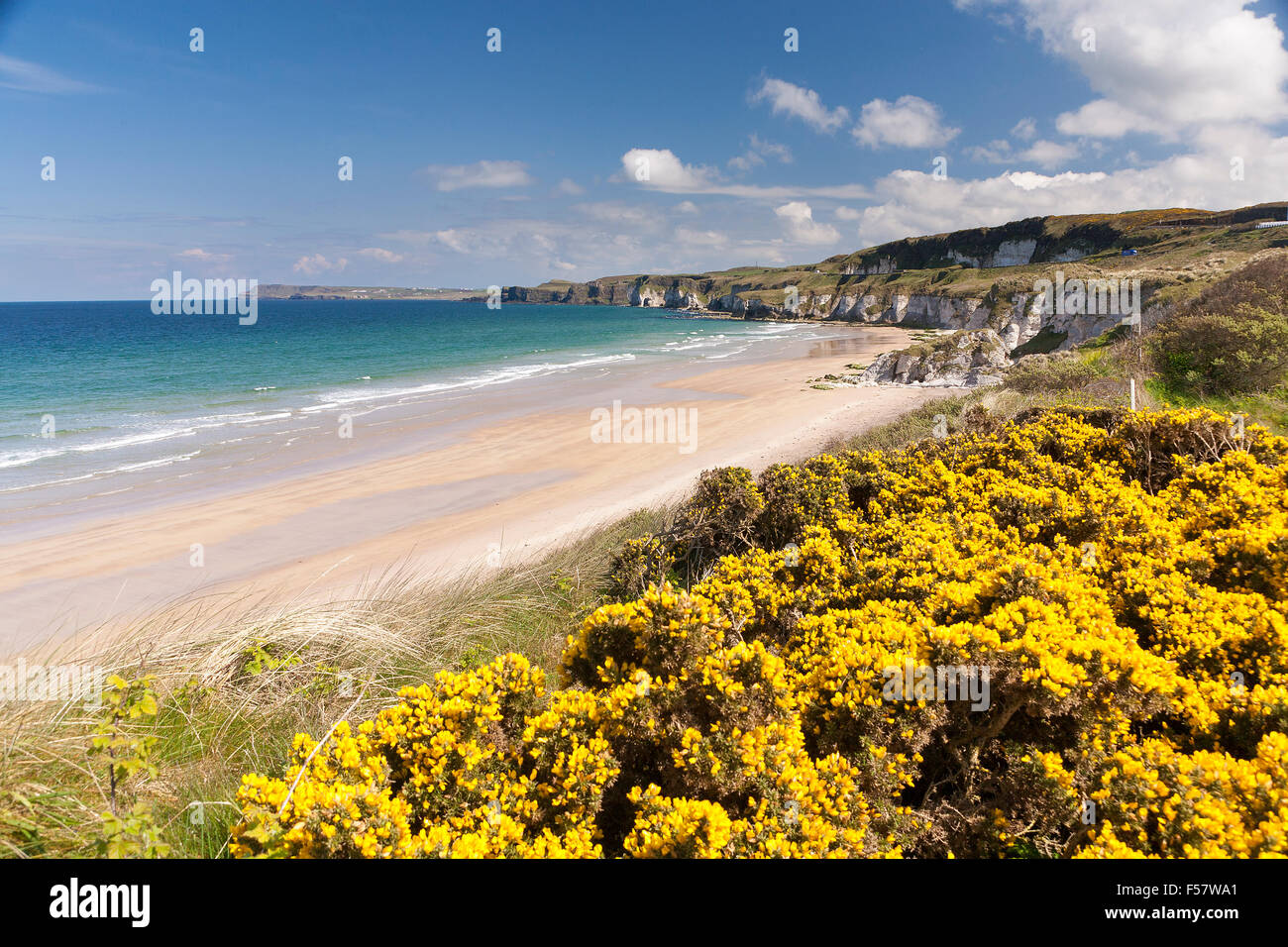 La costa intorno a Portrush Irlanda del Nord spiaggia di sabbia e scogli a Dunluce Castle. Foto Stock