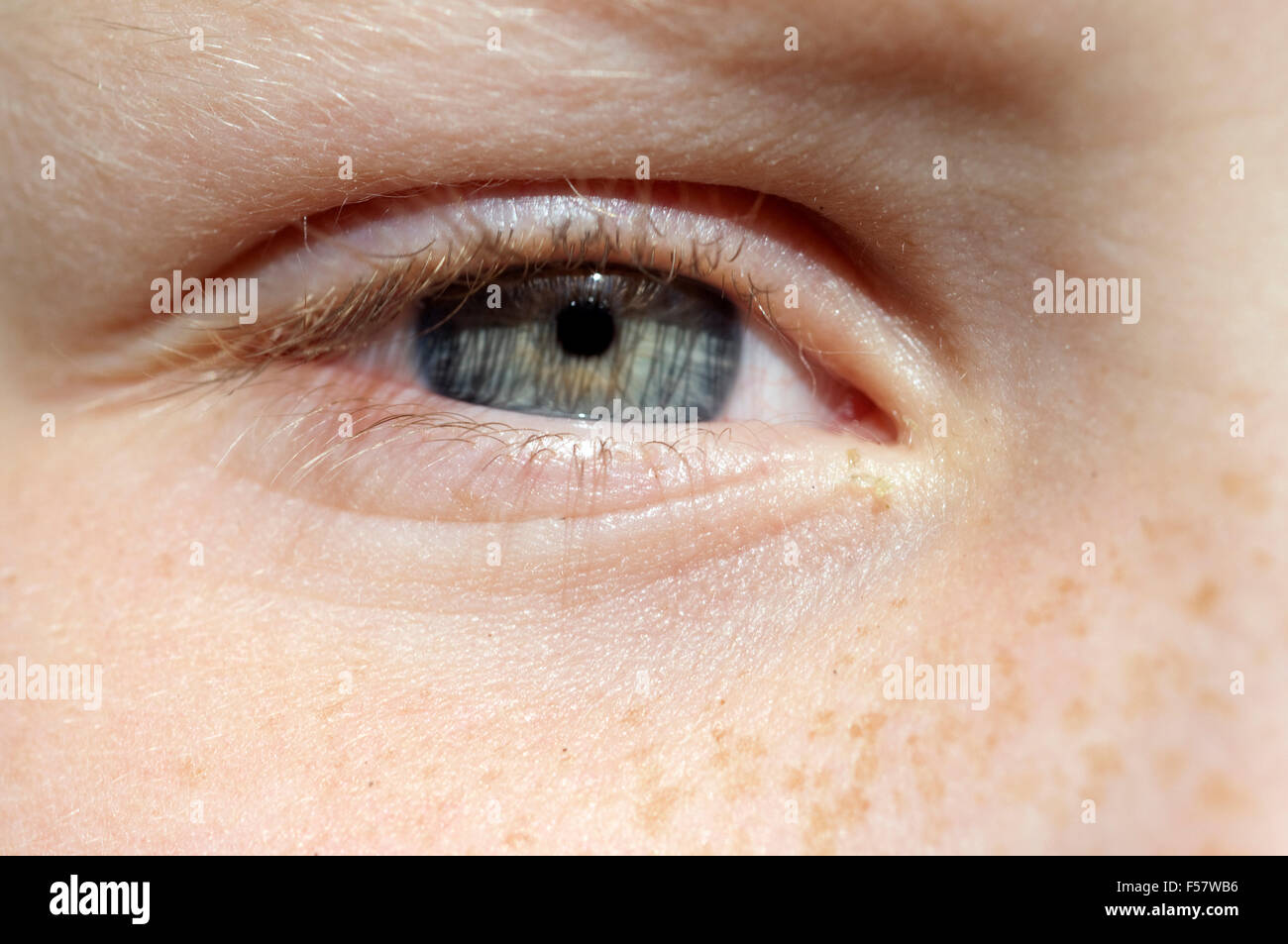 Auge, coperchio, iris, Maedchenauge Foto Stock