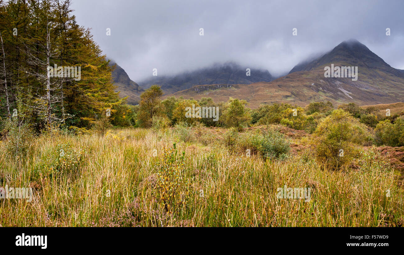 Colore di autunno sotto Blaven vicino Torrin sull'Isola di Skye in Scozia. Foto Stock