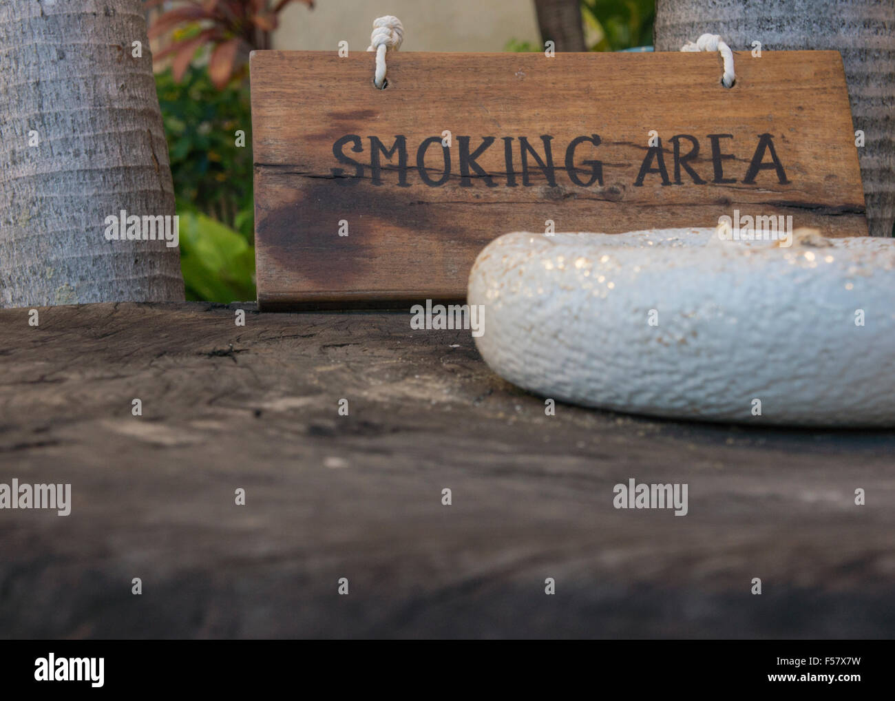 Emissione di fumo senza icona segno di vettore simbolo area di tabacco Sigari Foto Stock