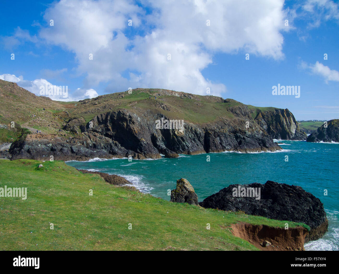 La Lucertola Riserva Naturale Nazionale, Kynance Cove, penisola di Lizard, Cornwall, Regno Unito Foto Stock