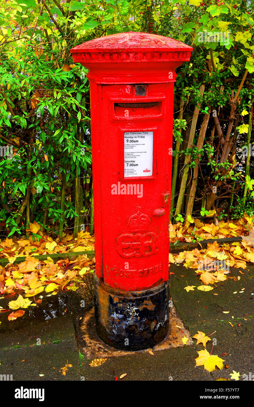 Edward ottavo Pilastro rosso box Newcastle Foto Stock