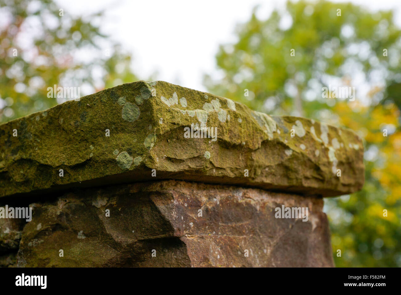 Pietra Yorkshire secco muro di pietra muretti a secco del patrimonio Inglese Alan banche Dalziel e Pascoe Foto Stock