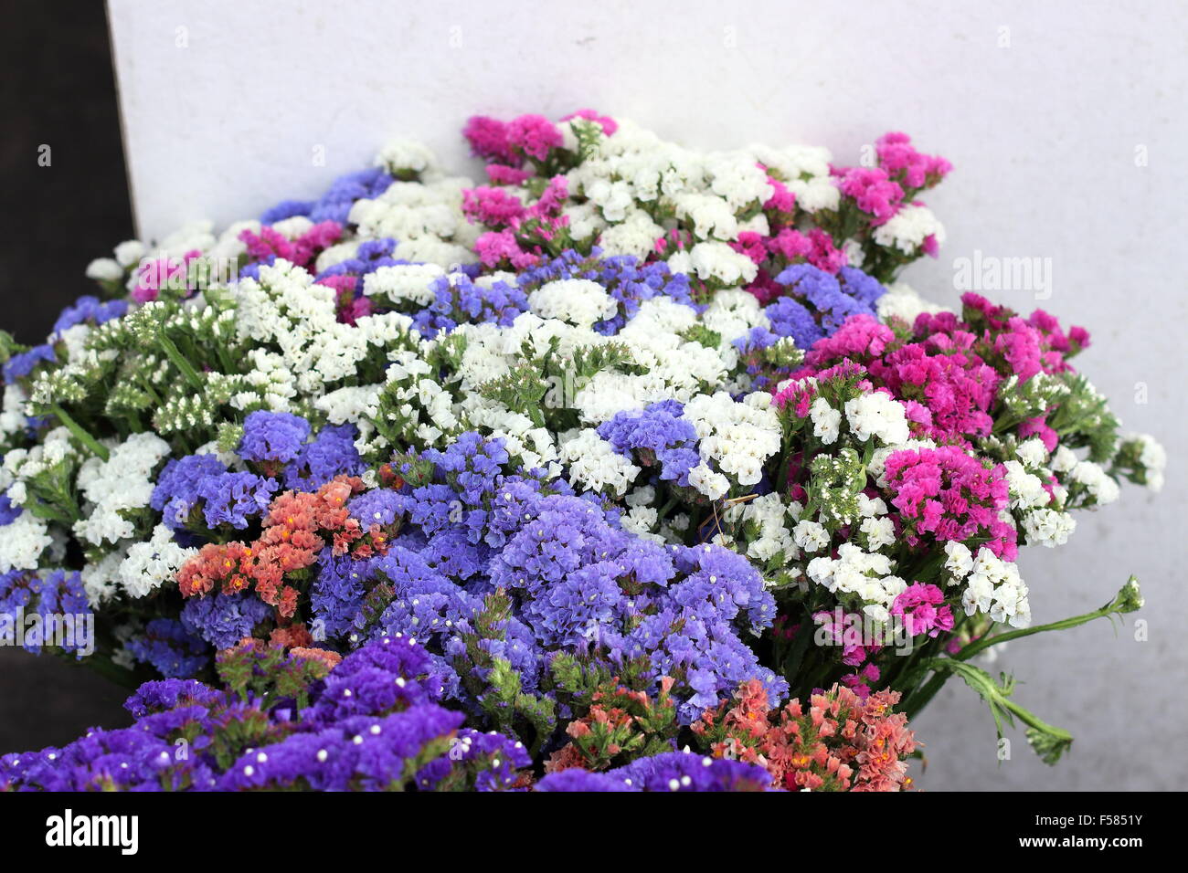Colorato Limonium sinuata o noto come fiori Statice per la vendita su un mercato Foto Stock
