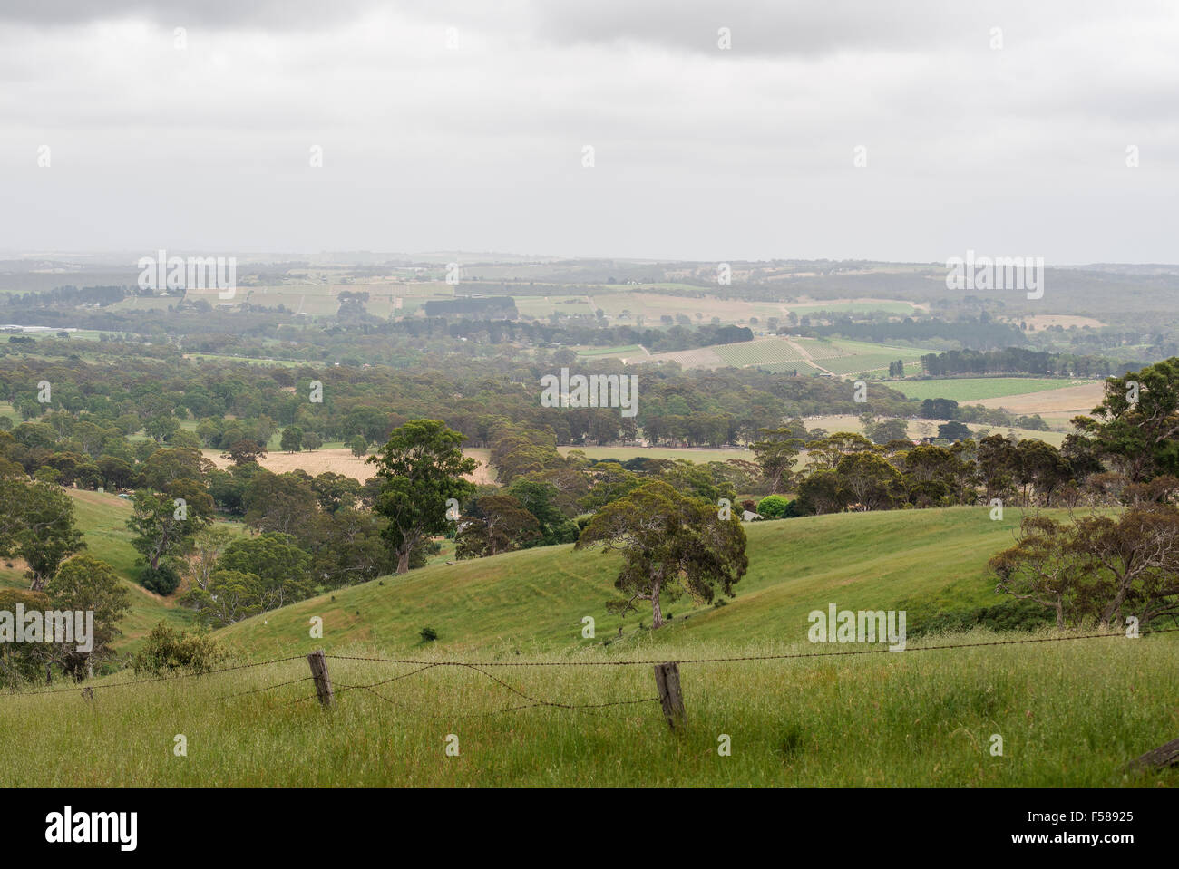 Il bel verde terreni agricoli di rotolamento sulle colline di Adelaide dopo buone piogge invernali Foto Stock