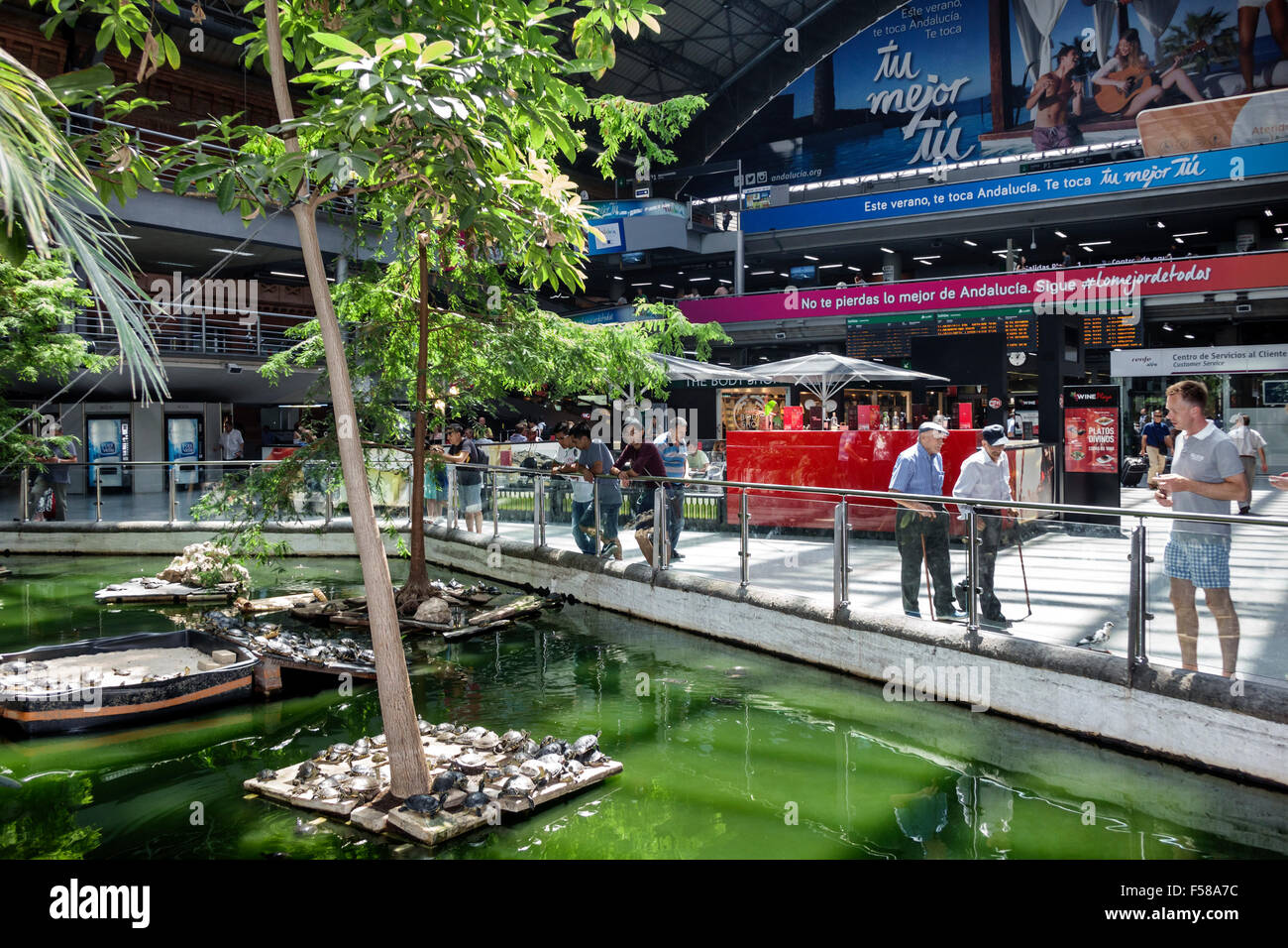 Madrid Spagna,Arganzuela ispanica,Estacion de Madrid Atocha,Madrid Puerta de Atocha,stazione ferroviaria,interno interno,giardino botanico tropicale,Spa Foto Stock