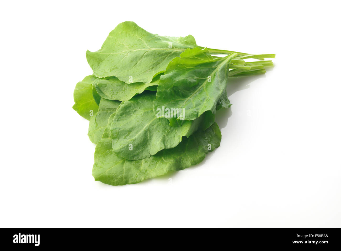 Foglie di spinaci Foto Stock