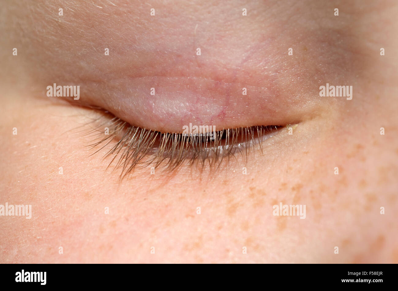 Wimper, Auge; coperchio; Foto Stock