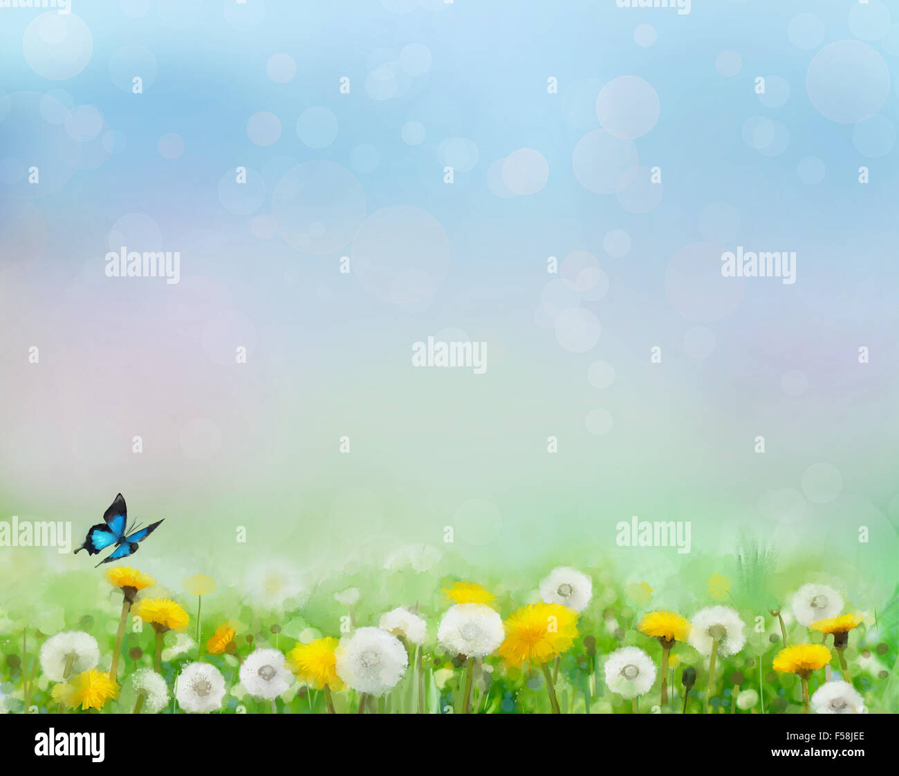 Primavera la natura sfondo con campi di tarassaco e luci bokeh di fondo cielo blu Foto Stock
