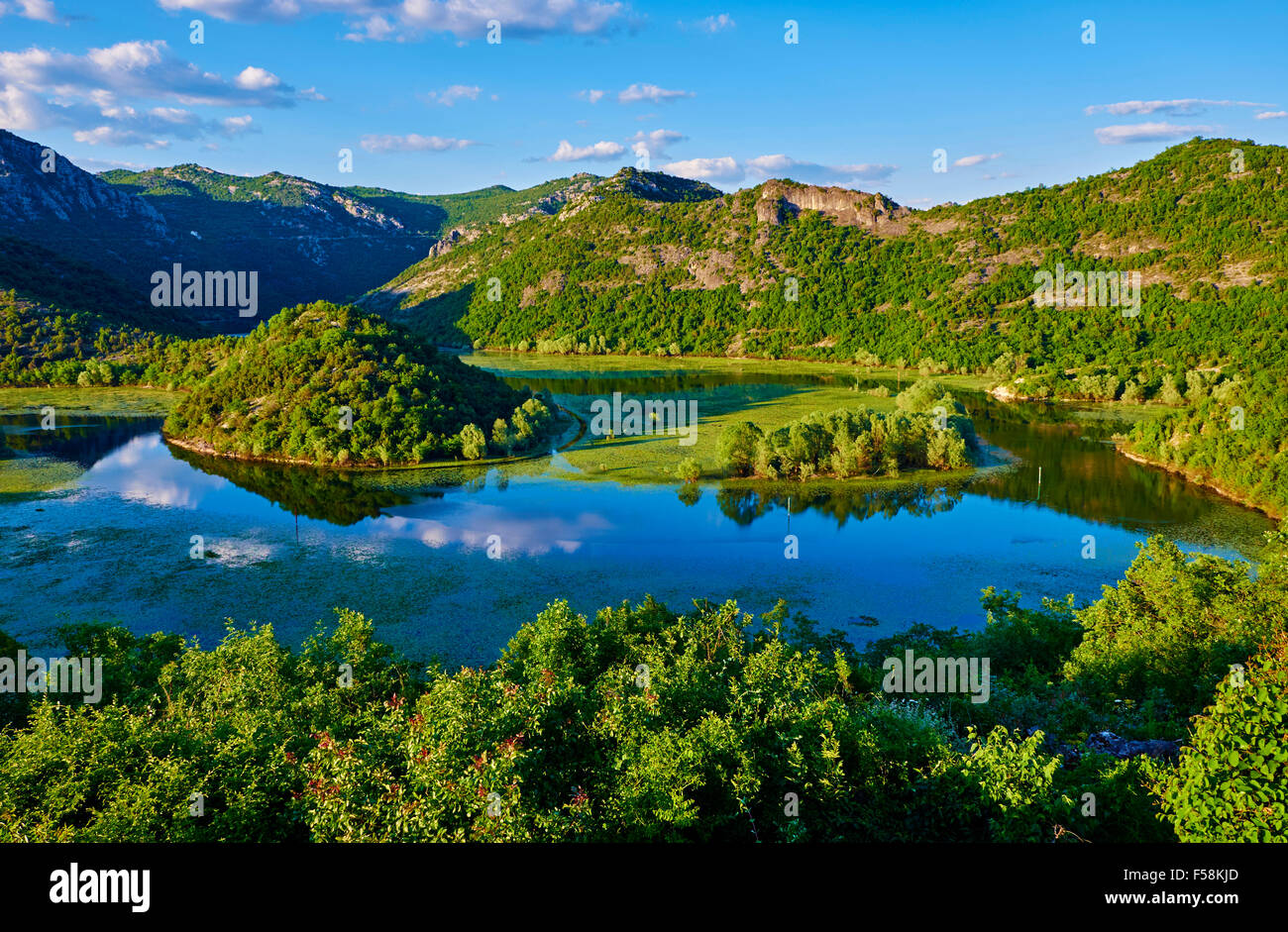 Montenegro, il Lago di Scutari Parco Nazionale, la vista del fiume ansa del fiume fiume Crnojevica Foto Stock