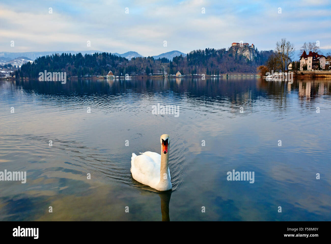 La Slovenia, Bled, il lago di Bled e sulle Alpi Giulie, chiesa dell Assunzione Foto Stock