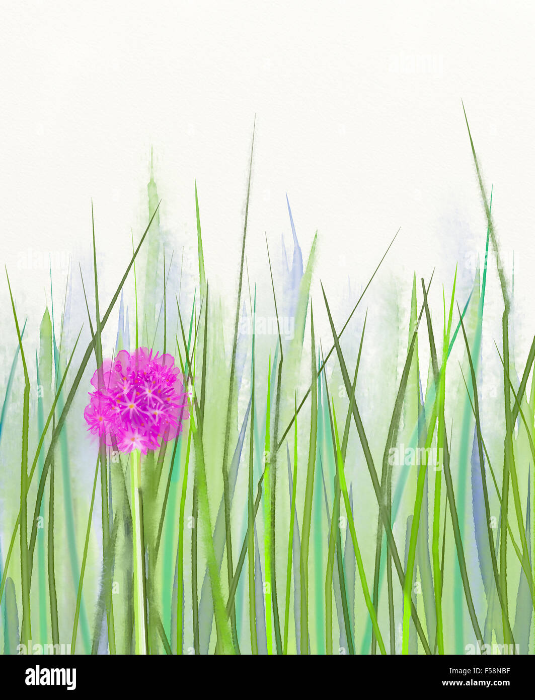 La pittura ad acquerello rosa fiori di erba cipollina su foglia verde sullo sfondo .molla sfondo floreale Foto Stock