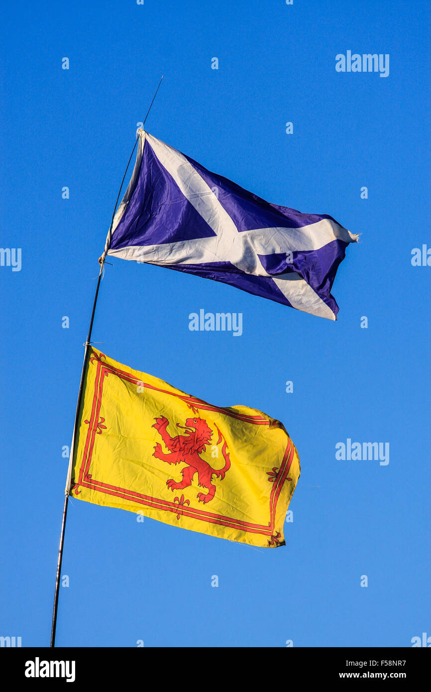 Le due bandiere della Scozia - la croce di St Andrews e il rampante di leoni - soffiano nel vento contro un cielo blu Foto Stock