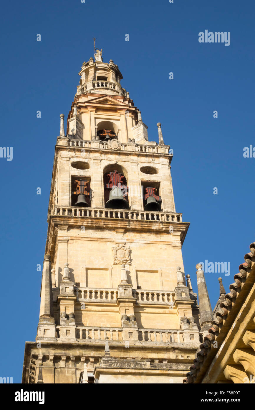 Torre campanaria della moschea e la Cattedrale di Nostra Signora dell'Assunzione a Cordoba, Andalusia, Spagna Foto Stock