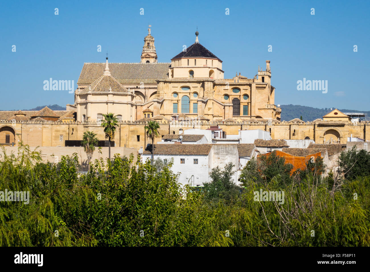 Esterno della grande moschea di ornati e la Cattedrale di Nostra Signora dell'Assunzione a Cordoba, Andalusia, Spagna Foto Stock