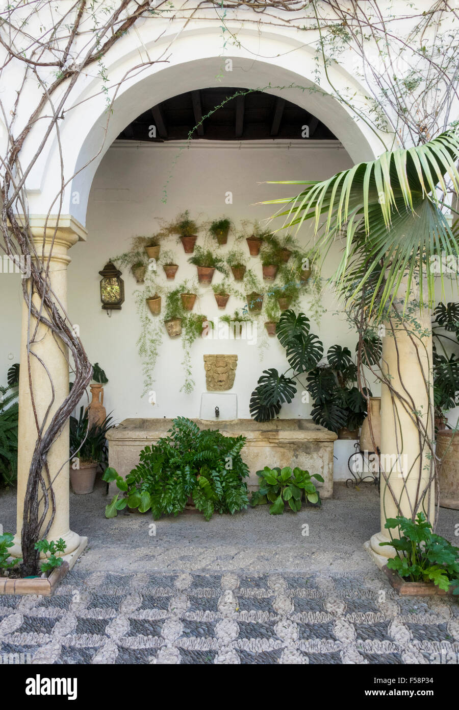 Bellissimo giardino in un cortile in Andalusia, Spagna con vasi per piante pendenti da pareti sopra un banco di lavoro Foto Stock