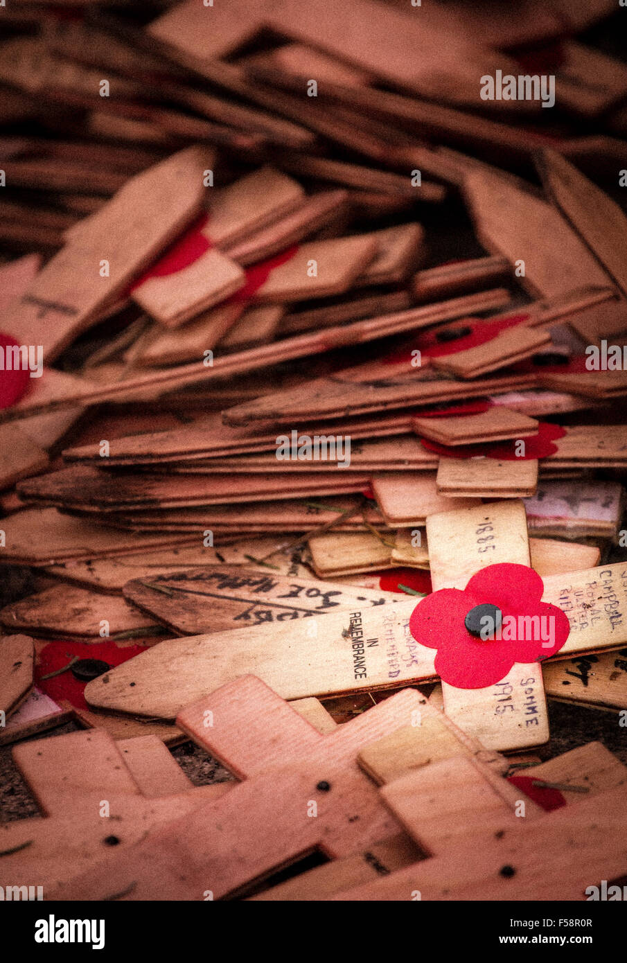 Croci di legno e di papavero stesa per terra come parte di il giorno dell'armistizio ricordo evento Foto Stock