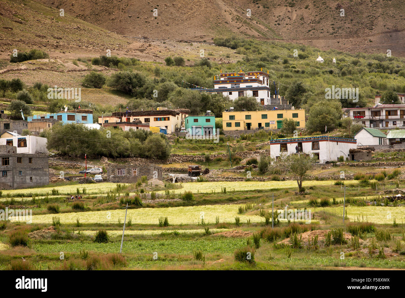 India, Himachal Pradesh, Spiti Valley, Losar village, case con il monastero sopra Foto Stock