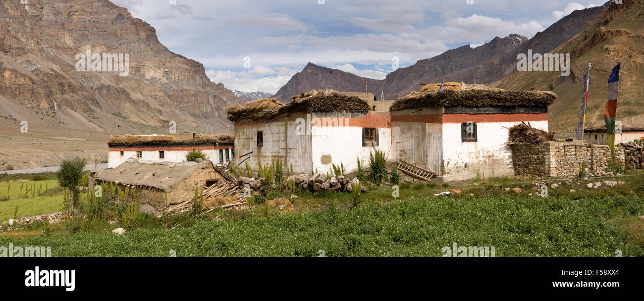 India, Himachal Pradesh, Spiti Valley, Losar village, tradizionalmente costruiti tetto piatto case coloniche, panoramica Foto Stock