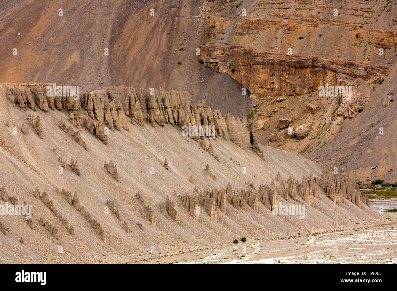 India, Himachal Pradesh, Spiti Valley, Dhar Hal, riverbank eroso nel fango di pinnacoli tappate da pietre Foto Stock