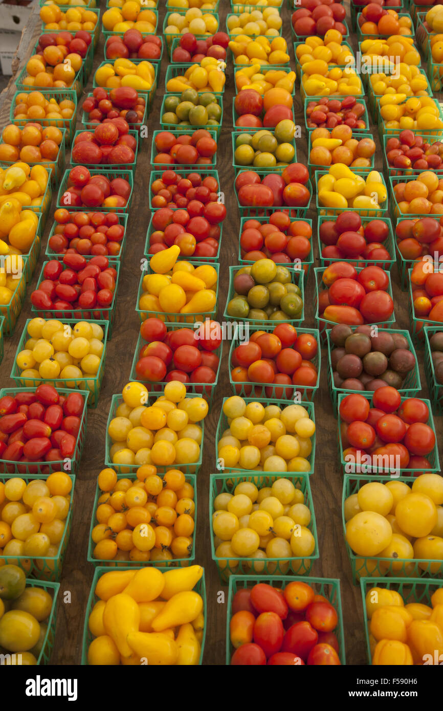 Un raccolto di vari tipi di piccoli pomodori per la vendita in un mercato degli agricoltori di Brooklyn, New York. Foto Stock