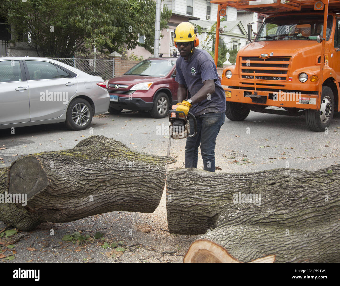 NYC rimozione alberi equipaggio abbattere un albero in pericolo di soffiare via durante una tempesta. Brooklyn, New York. Foto Stock