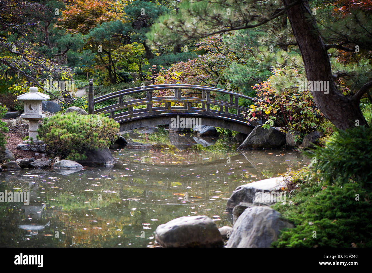 Ponte tranquilla in un giardino asiatico con i colori dell'autunno e acque calme. Un luogo tranquillo per raccogliere i vostri pensieri. Foto Stock