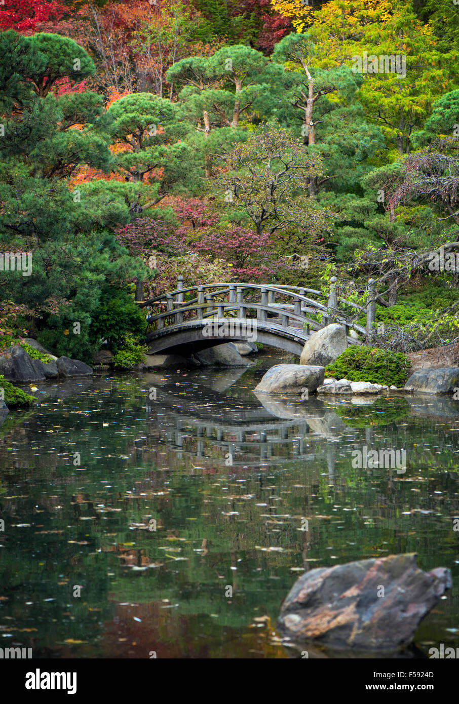 Ponte tranquilla in un giardino asiatico con i colori dell'autunno e acque calme. Foto Stock