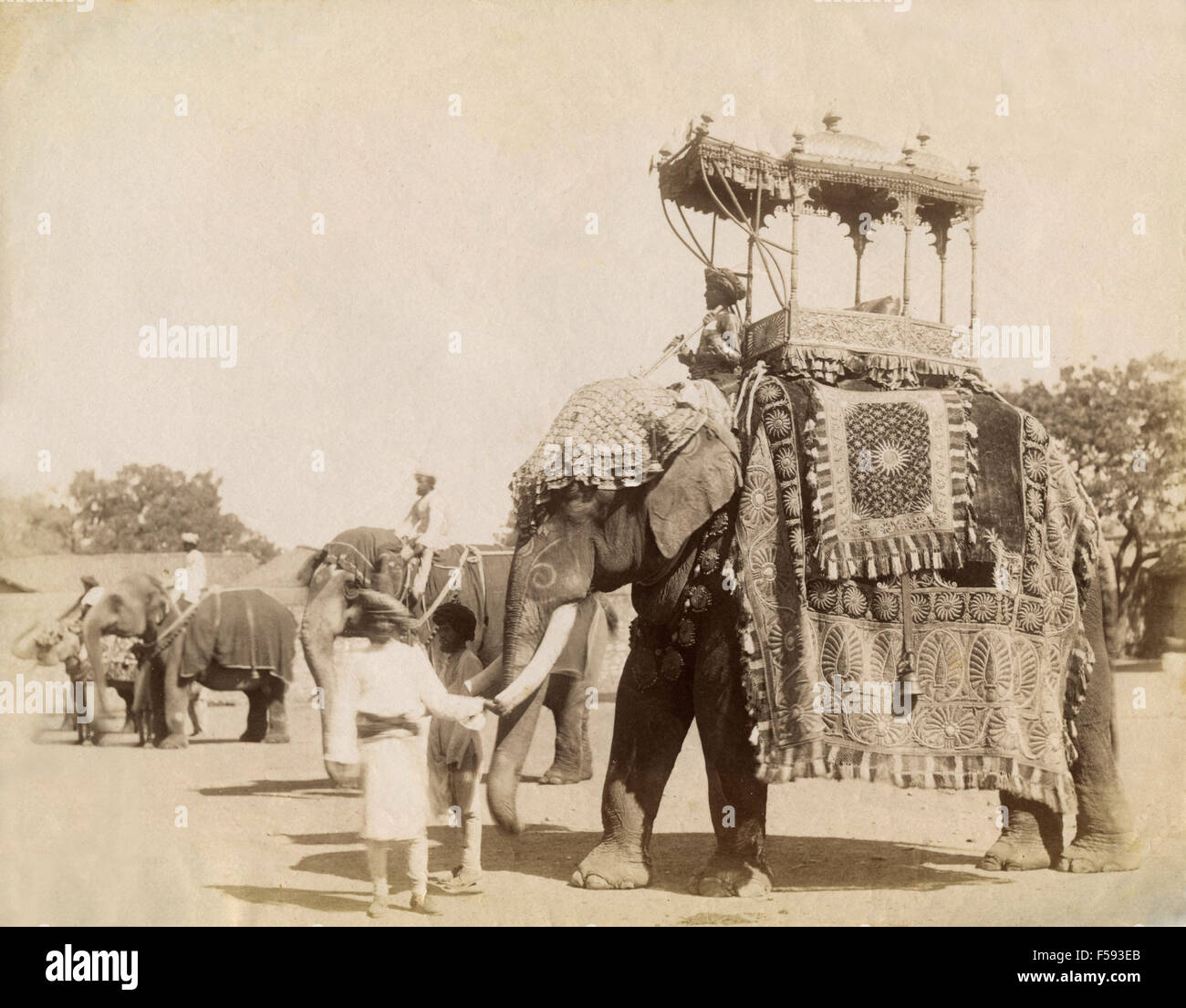 Un elefante per il trasporto di persone, India Foto Stock