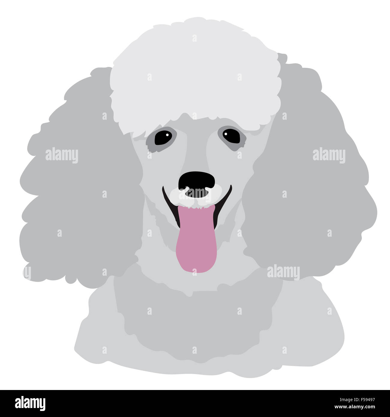 Un ritratto stilizzato di grigio di un barboncino Toy Foto Stock